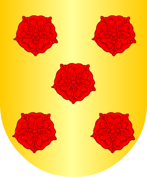ESCUDO SIGUIENTE